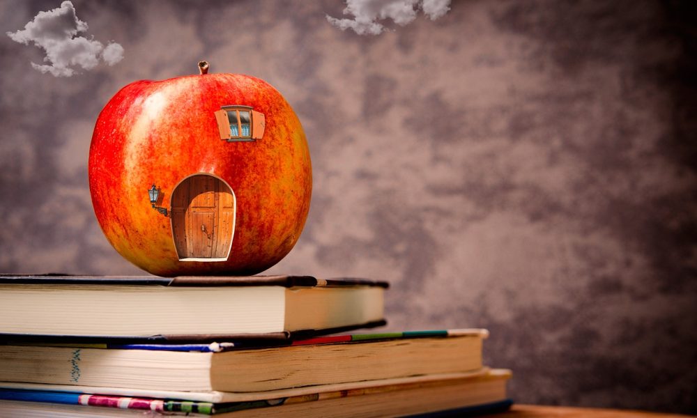 xandra_iryna-back-to-school-4373777_1280